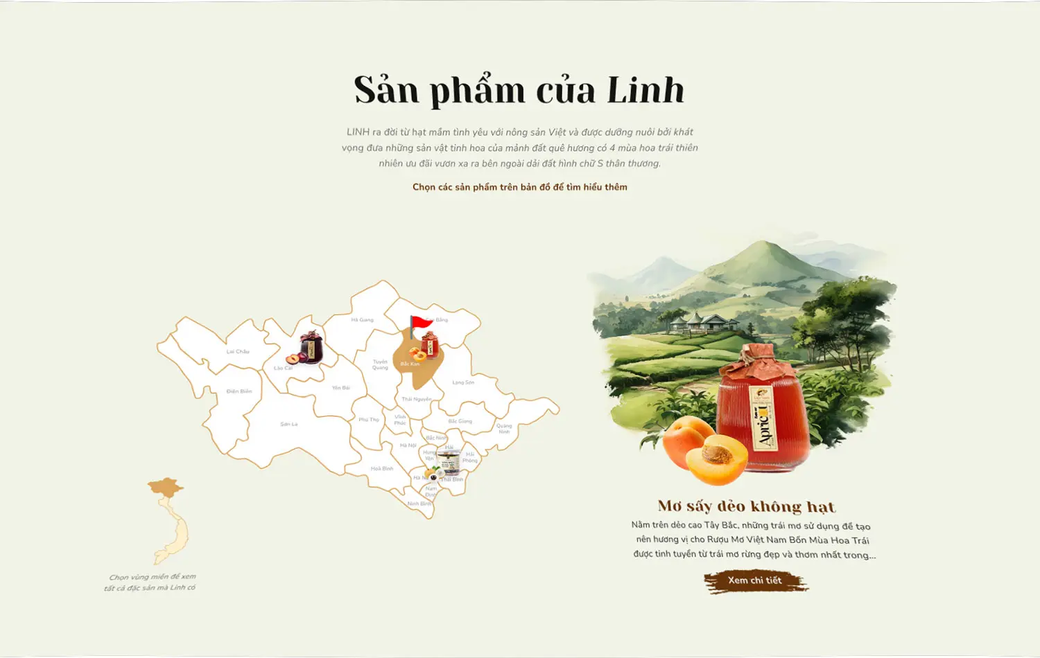 du-an-thiet-ke-website-Linh-Linh4