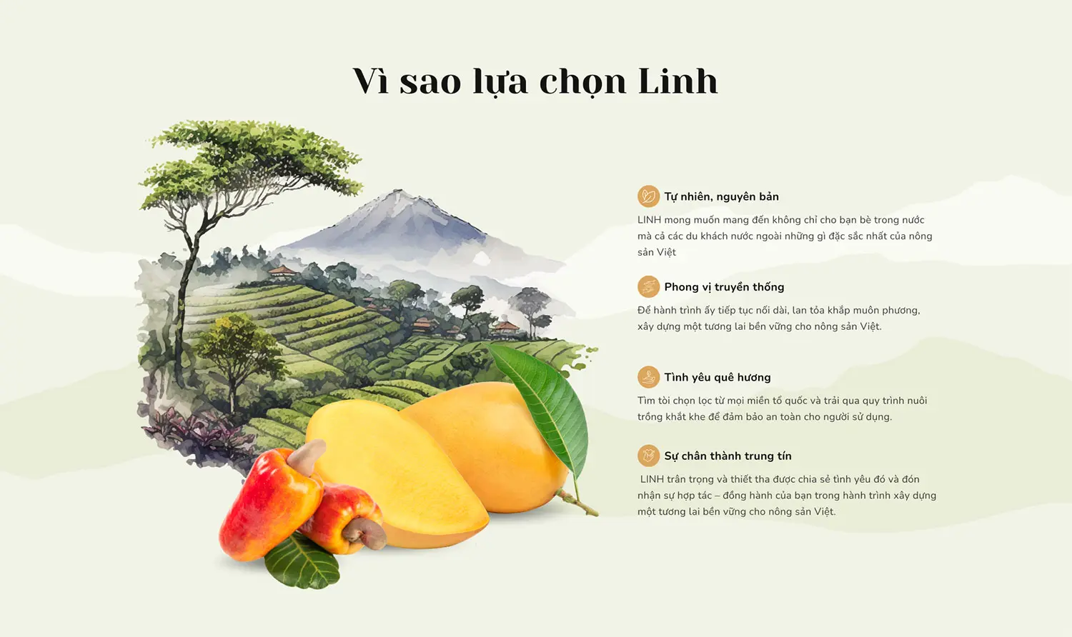 du-an-thiet-ke-website-linh-linh-3