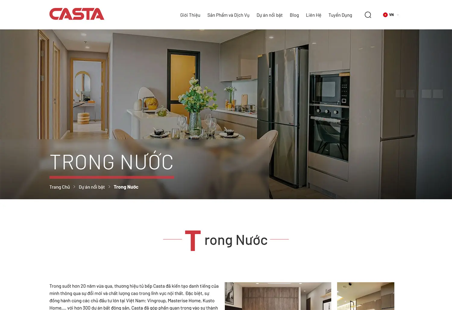 du-an-thiet-ke-website-Casta-desk7