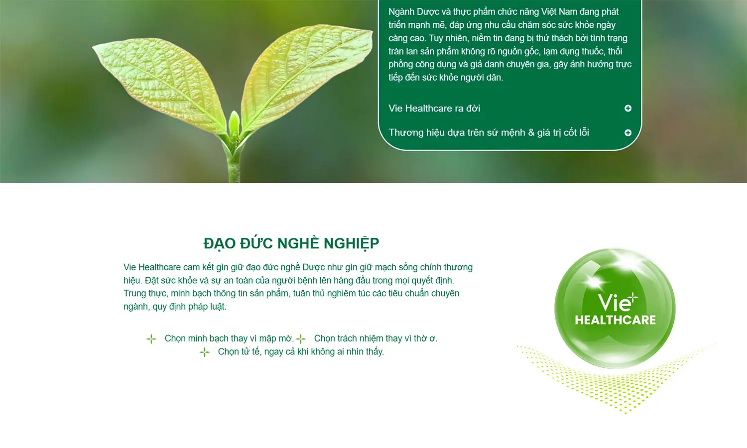 du-an-thiet-ke-website-viehealthcare-desk5